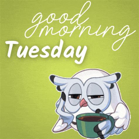 tuesday gifs|tuesday gif funny.